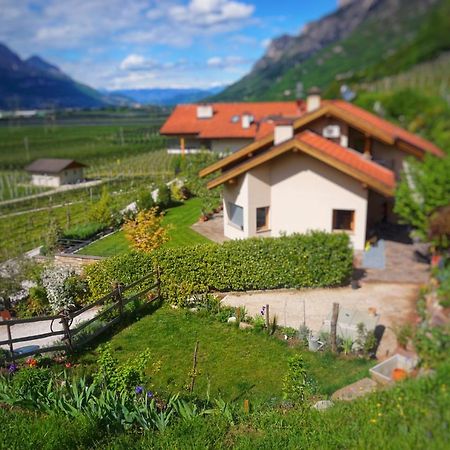 Agritur Zuveith Apartment Salorno Bagian luar foto